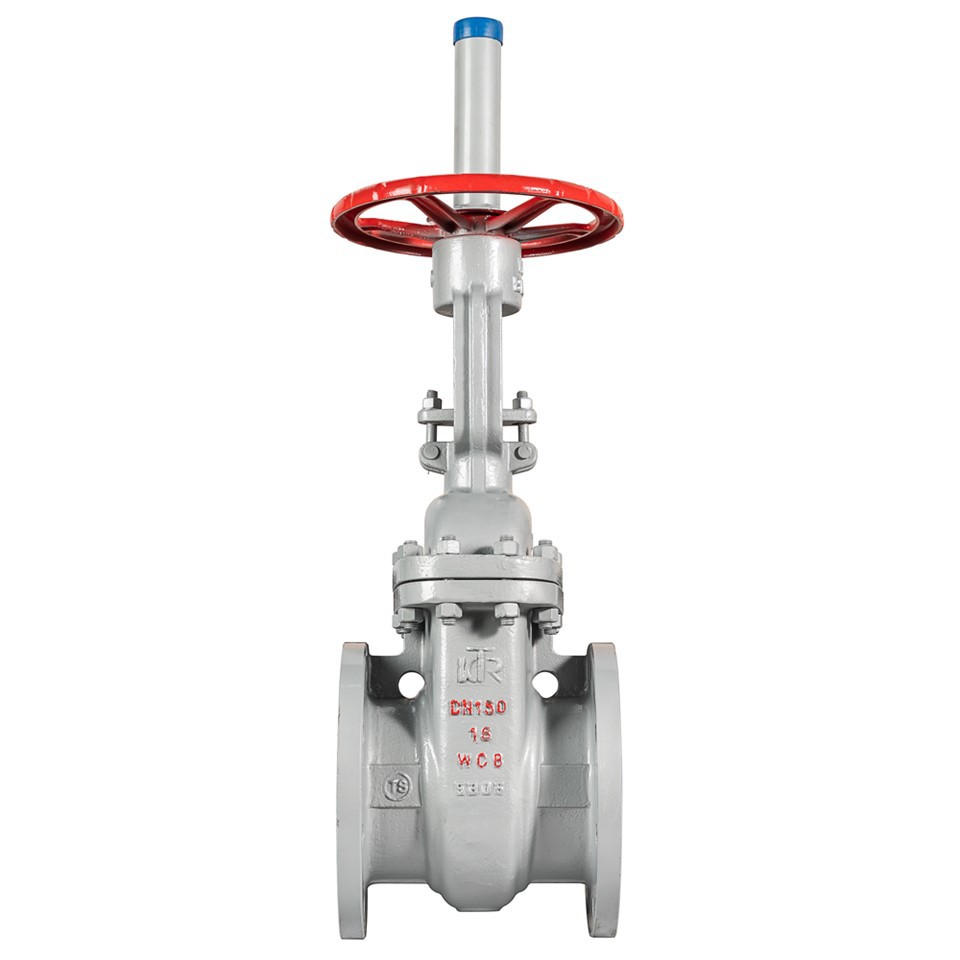 Cast Steel Gate Valves